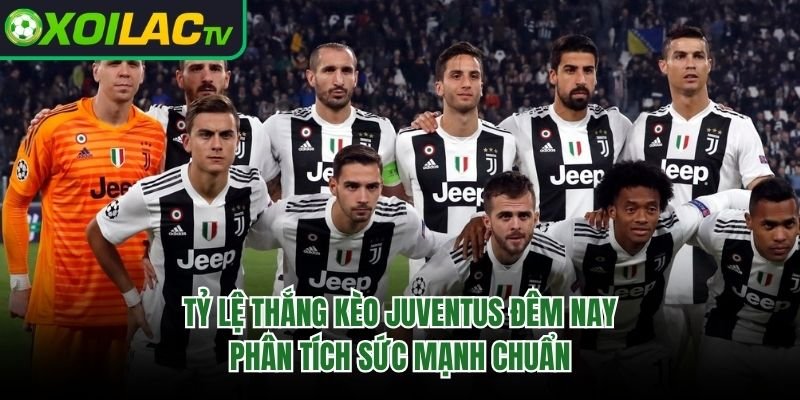 Tỷ Lệ Thắng Kèo Juventus Đêm Nay – Phân Tích Sức Mạnh Chuẩn